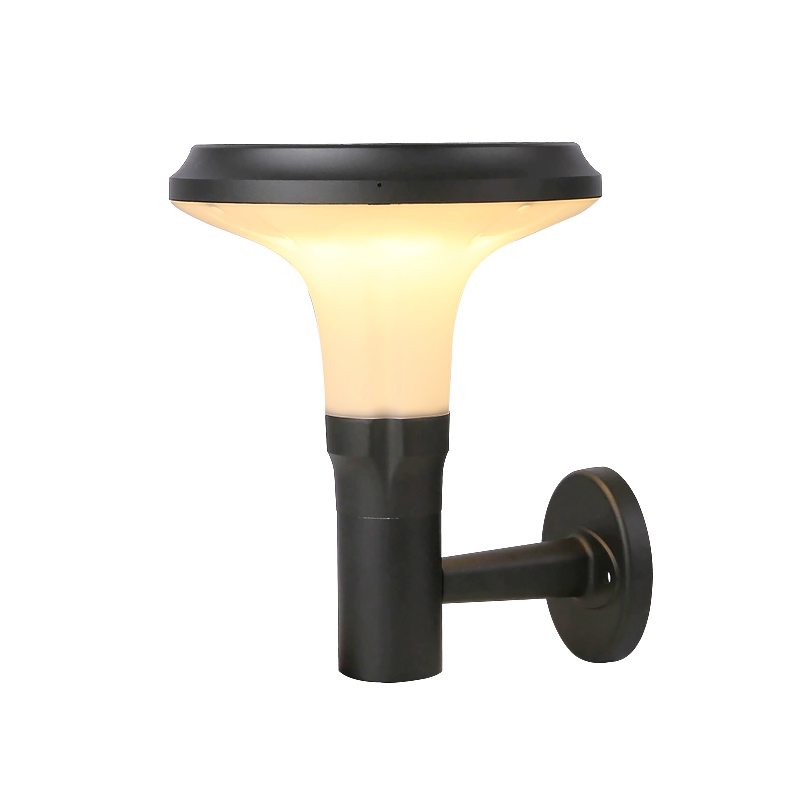 兰花壁灯  定制